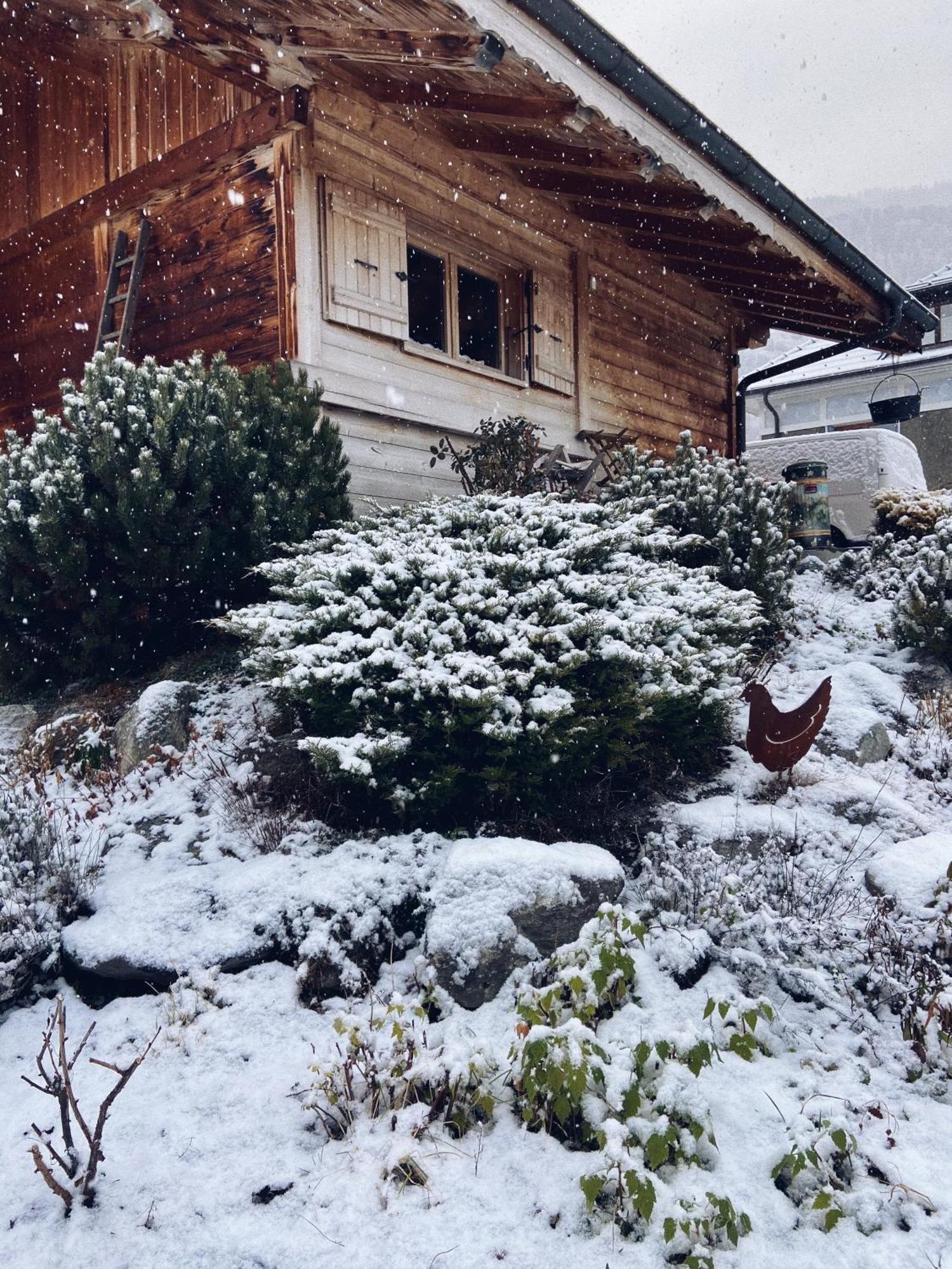 Grand Chalet A La Montagne Bourg-Saint-Maurice Exteriér fotografie